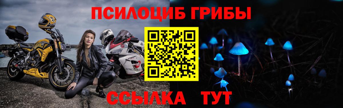 купить закладку  Вход с VPN  Воркута  Псилоцибиновые грибы GOLDEN TEACHER 